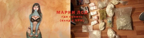 стаф Валдай