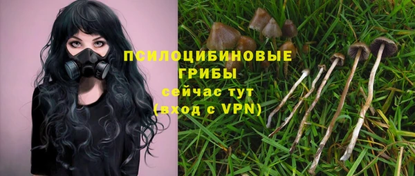 стаф Валдай