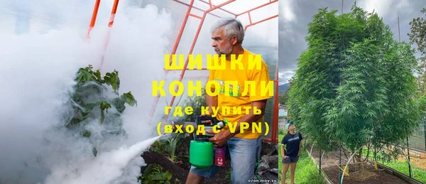 стаф Валдай