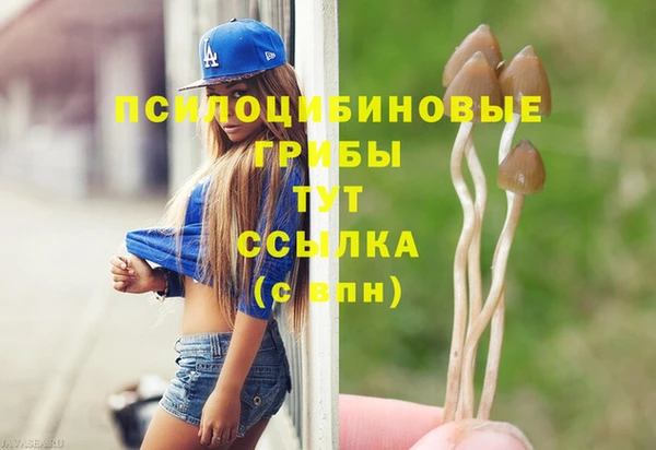 стаф Валдай