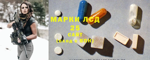 стаф Валдай