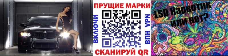 где можно купить наркотик  Губаха  Марки 25I-NBOMe 1500мкг 