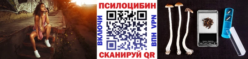 Псилоцибиновые грибы мухоморы Губаха